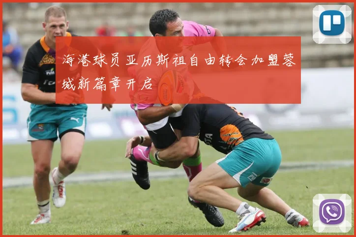 海港球员亚历斯祖自由转会加盟蓉城新篇章开启